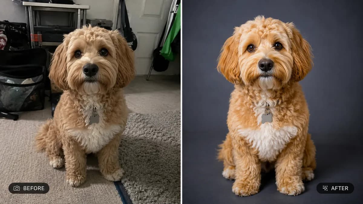 Enhance Pet Photo Into Studio Portrait example image